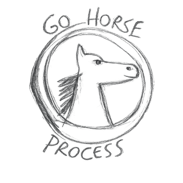 Extreme Go Horse
